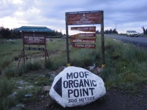 Moof Organic Point