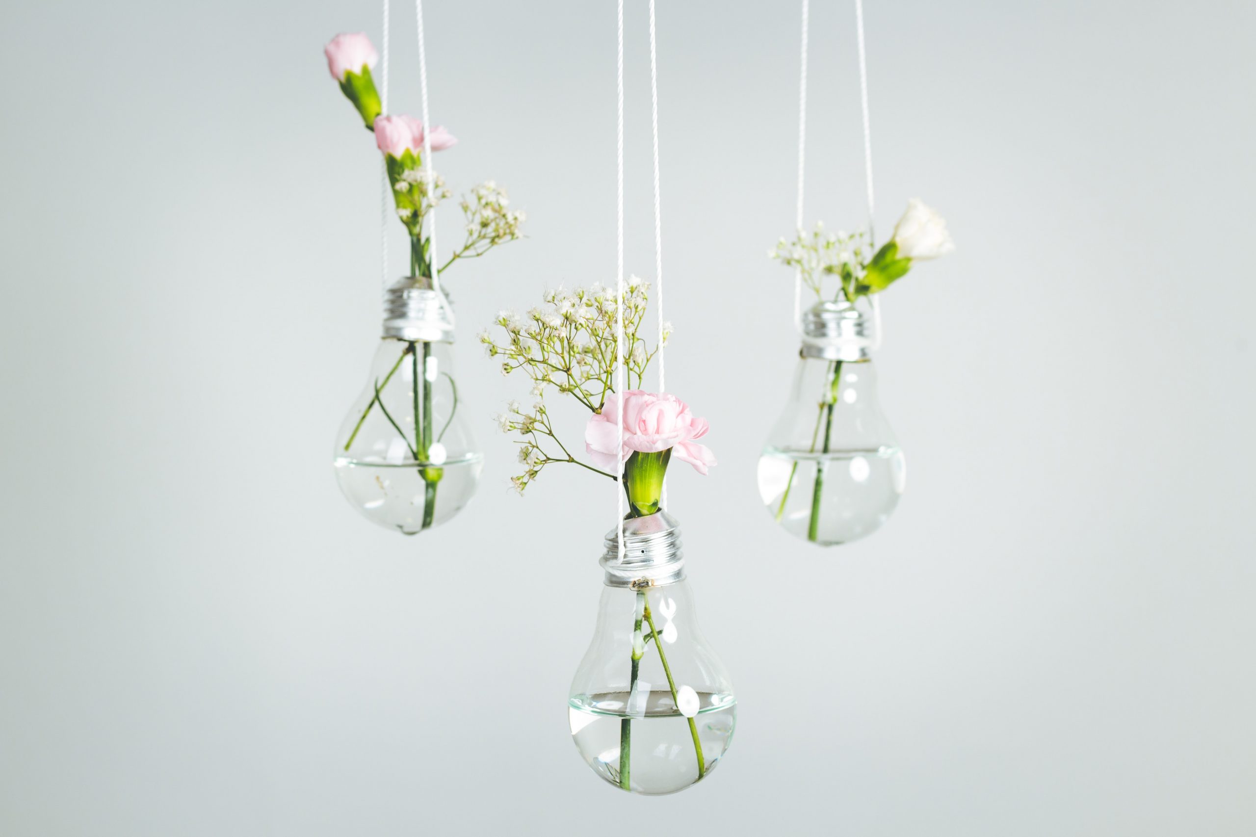 light-bulb-plant-holders