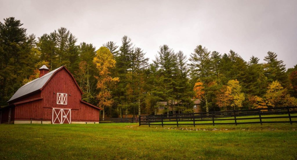 farmhouse-with-trees-in-countryside