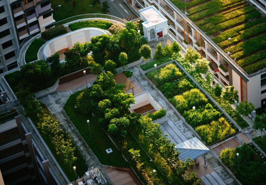 green-roof
