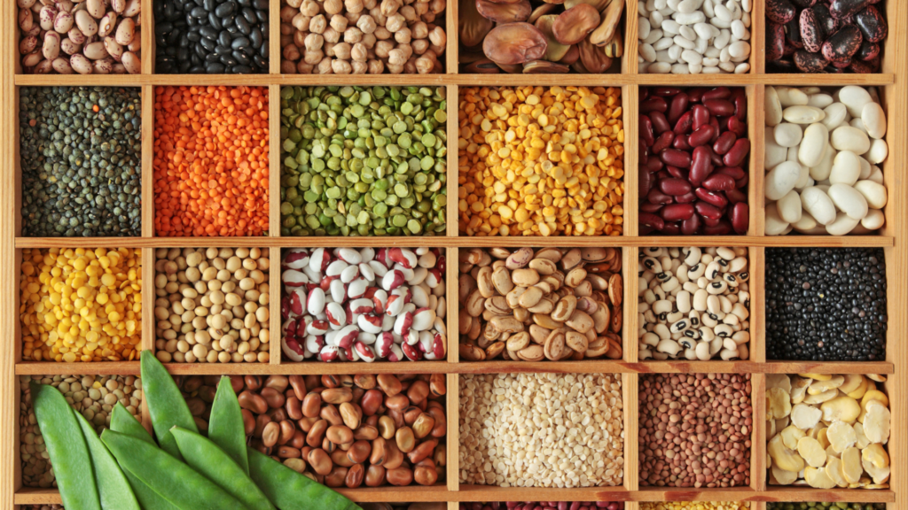 legumes-beans-chickpeas-in-tiles