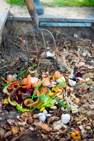 compost-in-soil