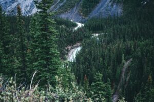 banff-alberta-forests-and-winding-rivers