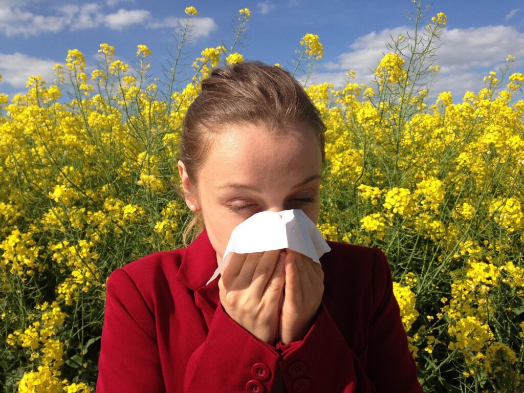 female wearing red sweater blowing nose into tissue outdoors among the yellow flowers