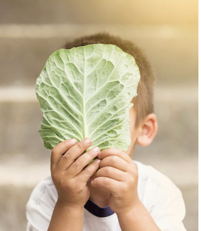 young boy holding cabbage in front of face