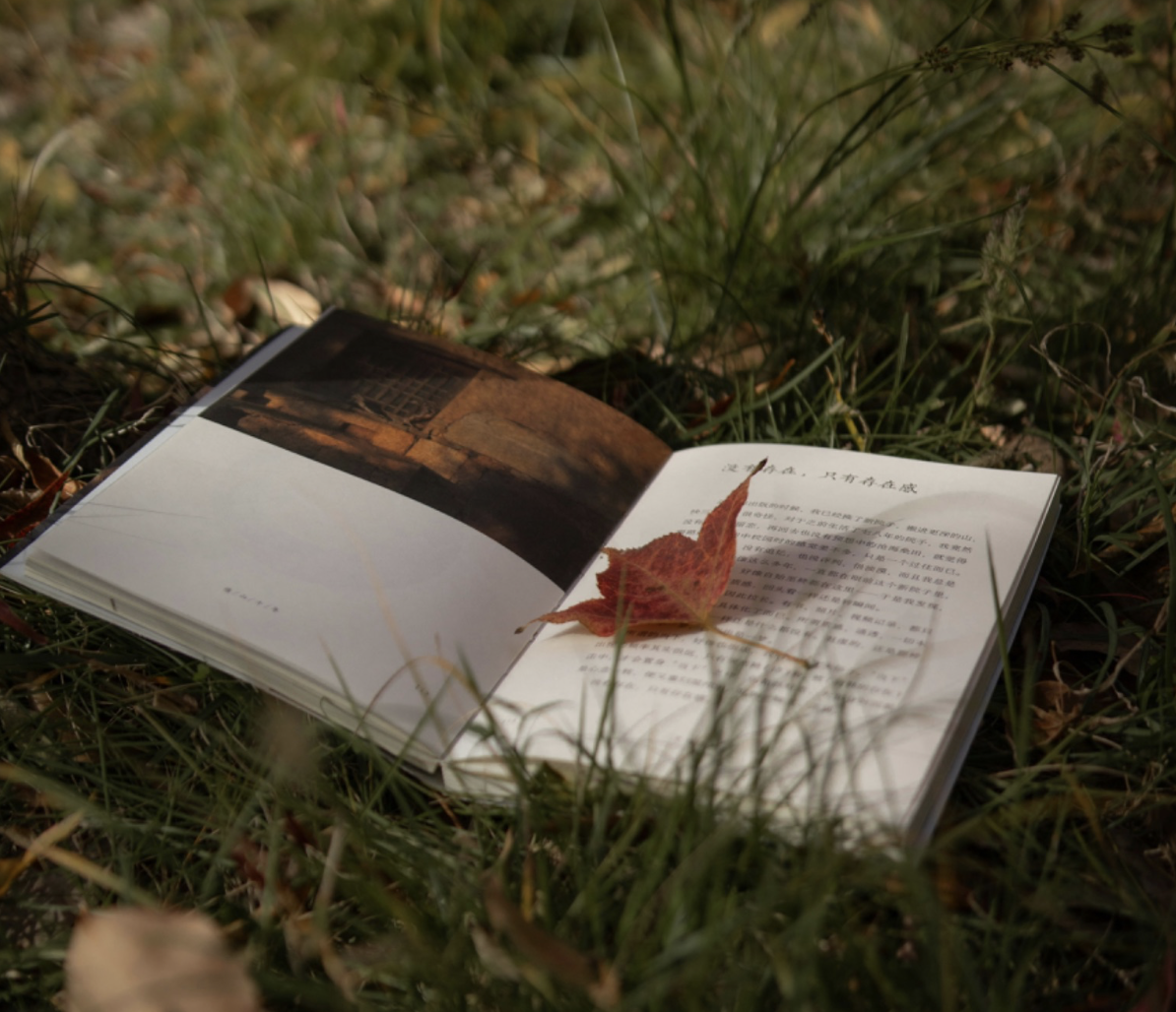 open book on pass with leaves