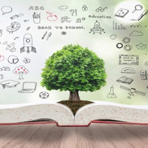 tree-with-open-book