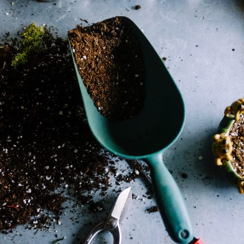 shovel-with-soil