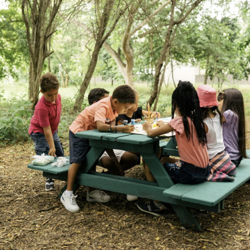 children sitting at picnic table among the trees on a sunny day