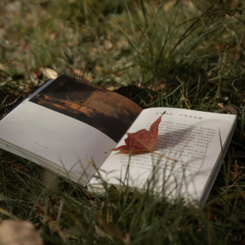 open book on pass with leaves