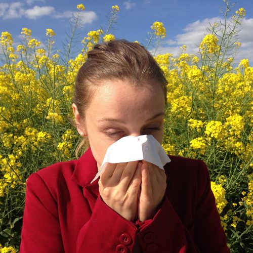 female wearing red sweater blowing nose into tissue outdoors among the yellow flowers